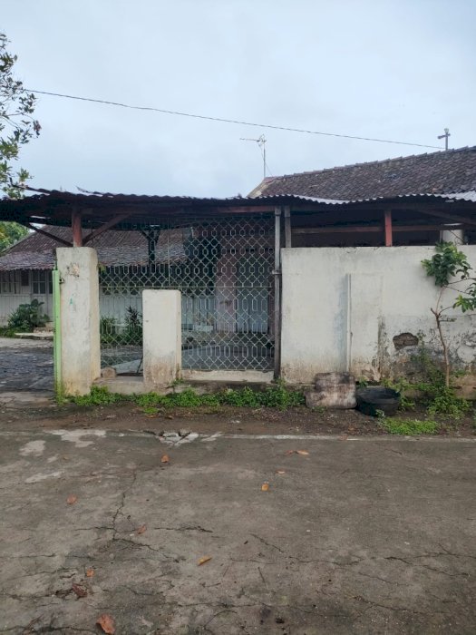 Beli Tanah dapat Rumah