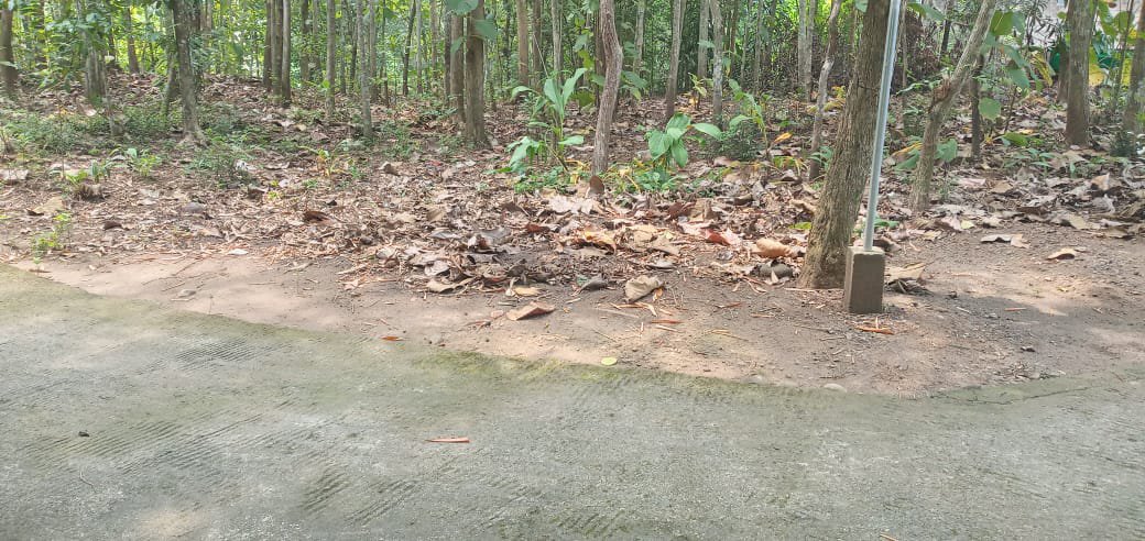 Tanah Nanggulan murah hanya 500 ribuan