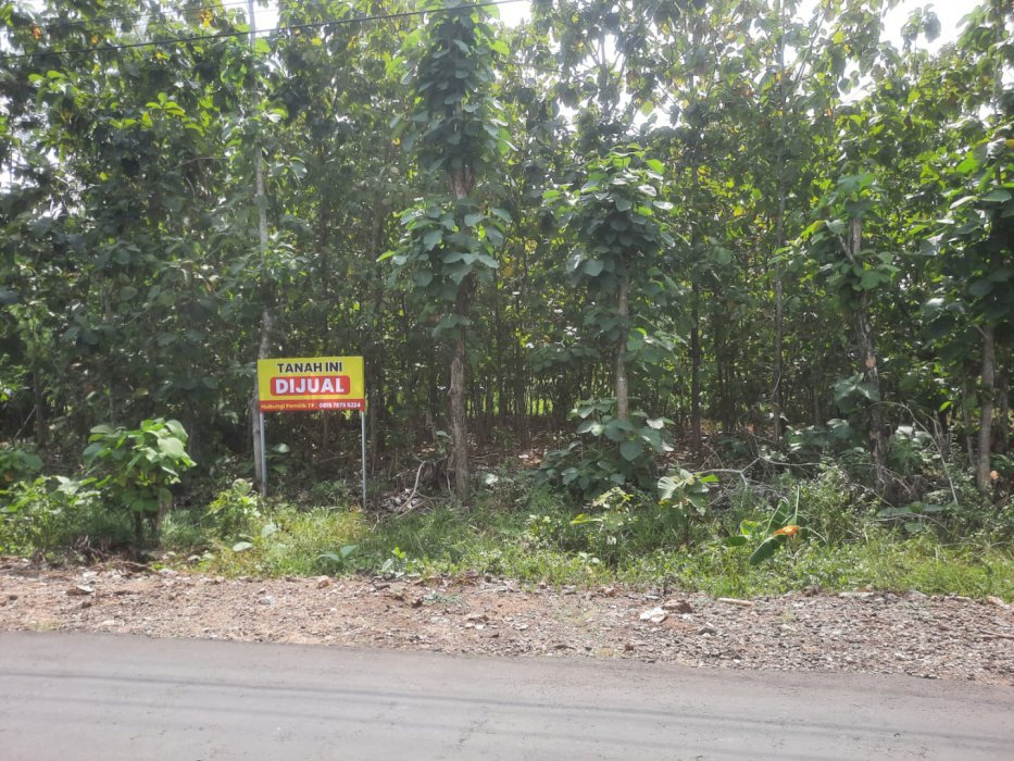 DIJUAL TANAH DI KOTA WONOSARI GUNUNG KIDUL SHM