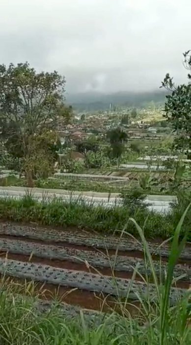 DIJUAL TANAH LUAS VIEW DANAU BEDUGUL TABANAN BALI