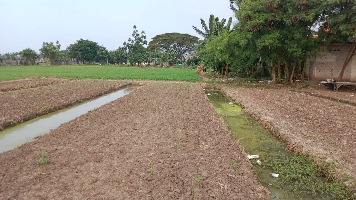 Jual cepat tanah. Untuk perumahan atau mall