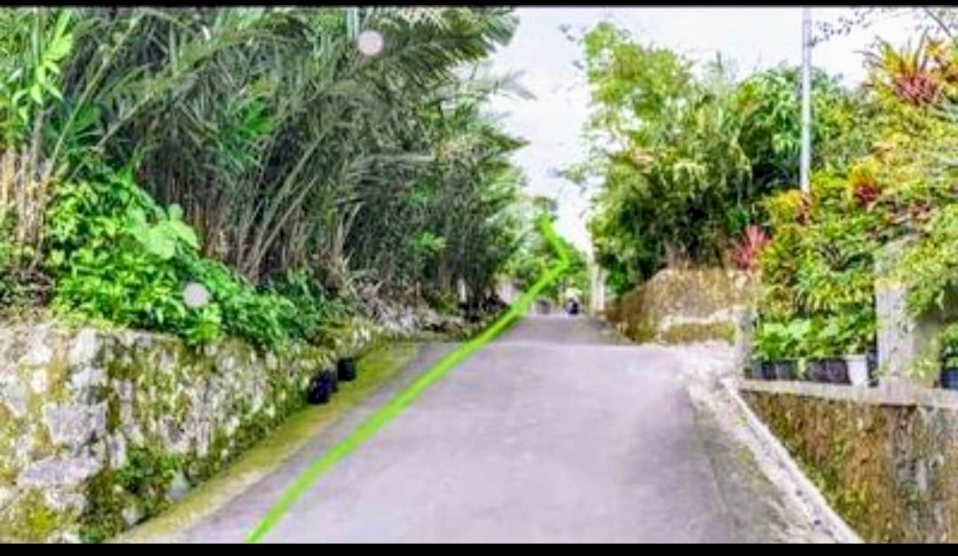 Tanah Murah di Sleman Mangku Jalan Aspal