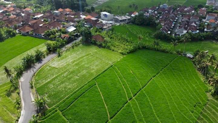 DIJUAL TANAH DI KAWASAN CANGGU BALI