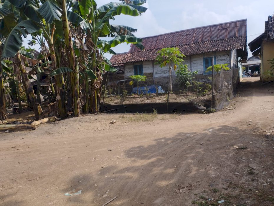 DI JUAL TANAH PEKARANGAN MURAH LOKASI AMBARAWA PRINGSEWU LAMPUNG