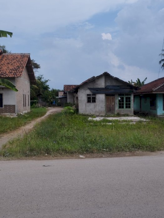 DIJUAL TANAH MURAH LOKASI STRATEGIS PINGGIR JALAN PARDASUKA LAMPUNG