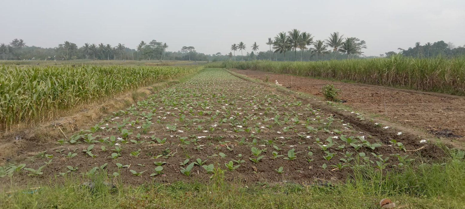 Dijual Tanah Dengan Luas 1861 m2 di Tajinan Malang