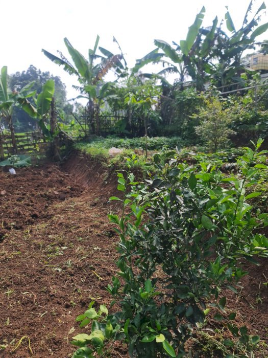 Tanah luas strategis masuk jalan mobil