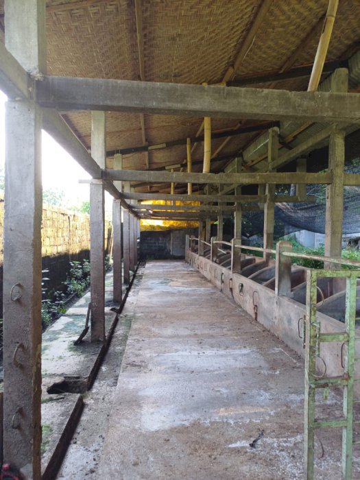 DIJUAL KANDANG SAPI SIAP HUNI
