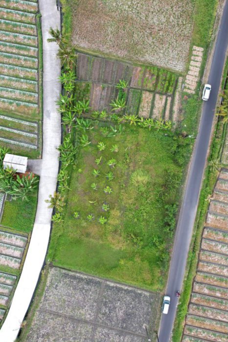 Di Jual Tanah View Sawah 395 Juta Per Are Di Tabanan Bali