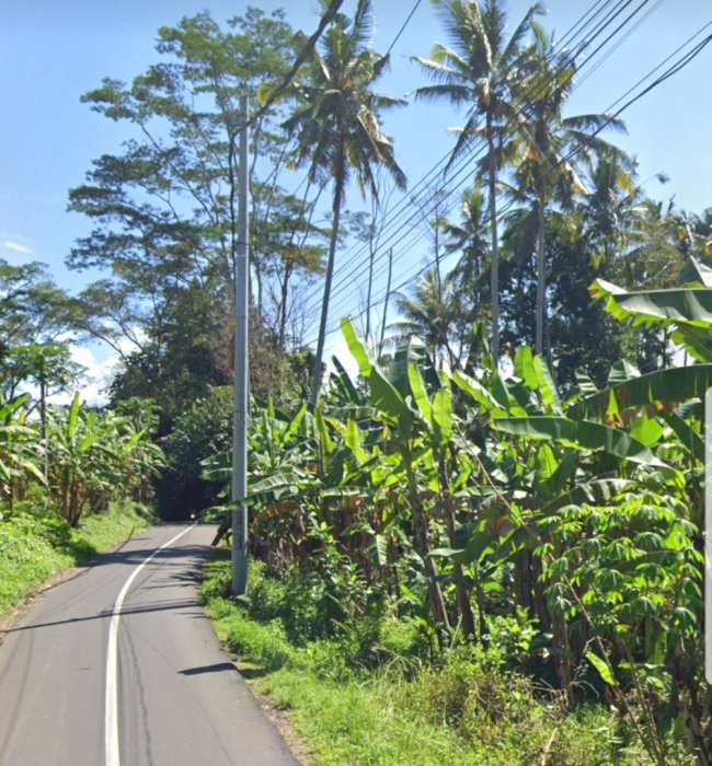 Jual Tanah Di Jalan Utama Ubud Gianyar Bali