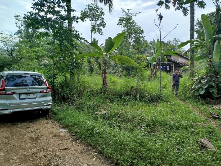 DIJUAL Tanah di desa Sindang Resmi, Kecamatan Jampang Tengah, Sukabumi