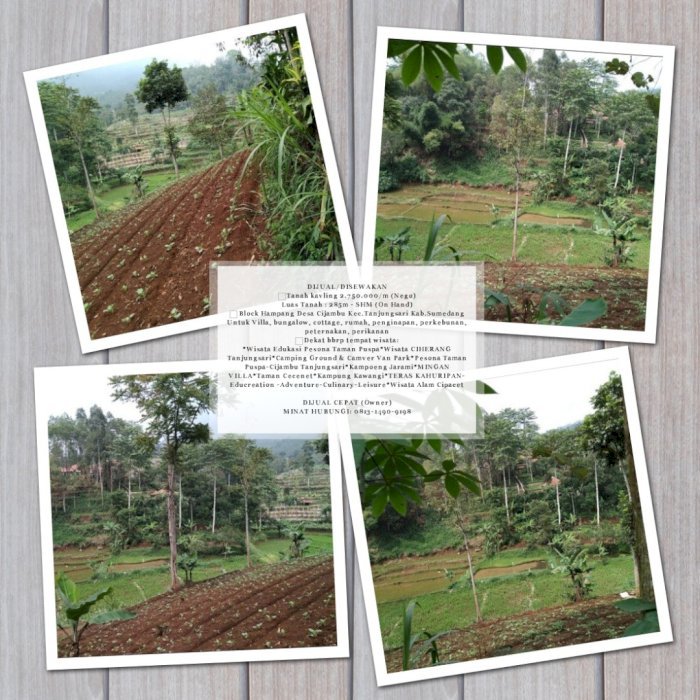 Di Jual Tanah Kavling Murah Strategis Di Tanjungsari Sumedang