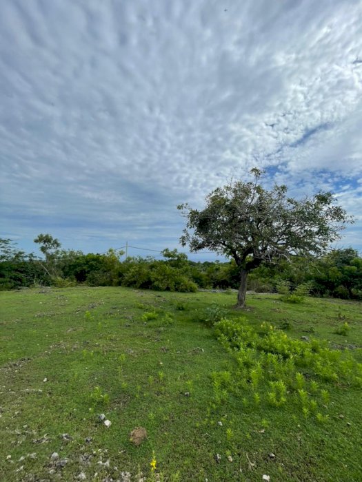 DI JUAL TANAH LOKASI STRATEGIS DI PANDAWA BADUNG BALI