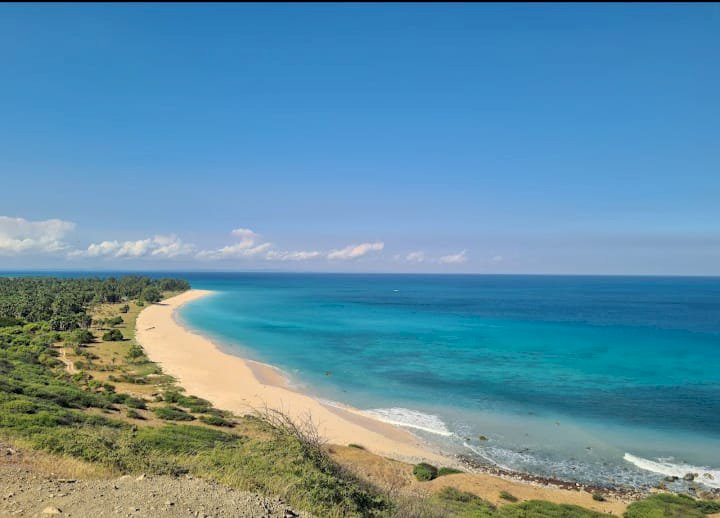 TANAH DI JUAL KAWASAN WISATA PANTAI LIMAN SEMAU SELATAN BANTING HARGA