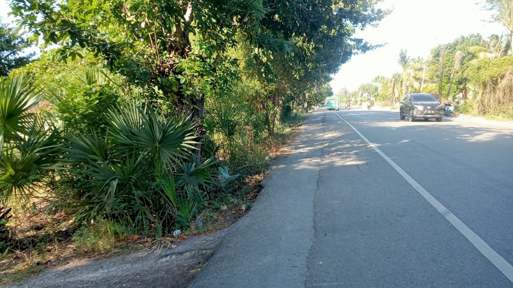 JUAL TANAH PINGGIR JALAN  . TIMOR RAYA  OEBELO KUPANG BANTING HARGA