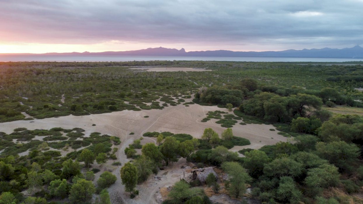 DI JUAL TANAH HAMPARAN PINGGIR PANTAI BANTING HARGA