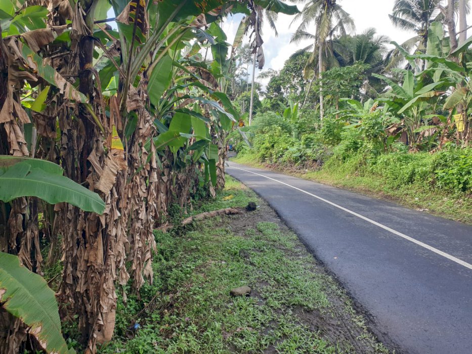 DI JUAL TANAH DI JALAN UTAMA UBUD GIANYAR BALI