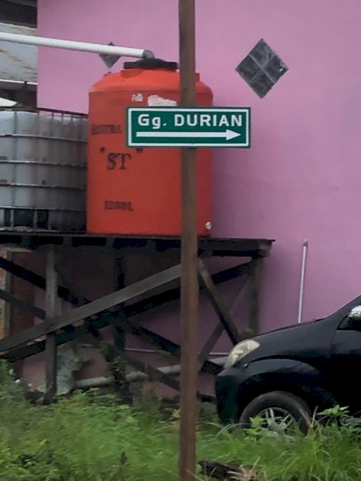 Lahan untuk kavlingan