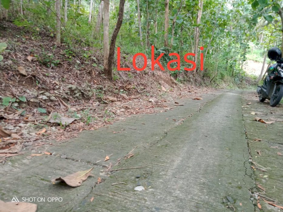 Tanah Murah Dekat Kota Wates Kulon Progo Hanya 4KM