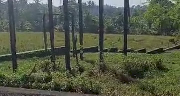 TANAH DIJUAL DI TABANAN BALI