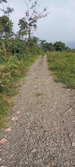 Jajan awet yu tanah murah luas 1,4 hektar di Cigudeg bogor