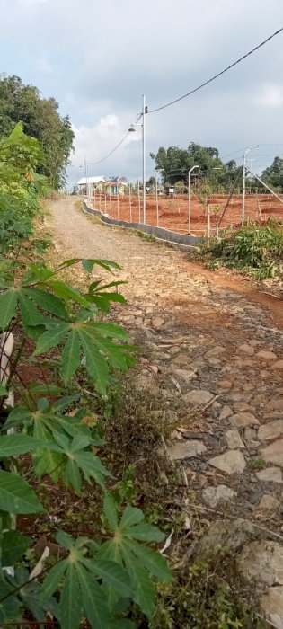 Jual tanah murah dengan luas 2500m2 di cigudeg bogor
