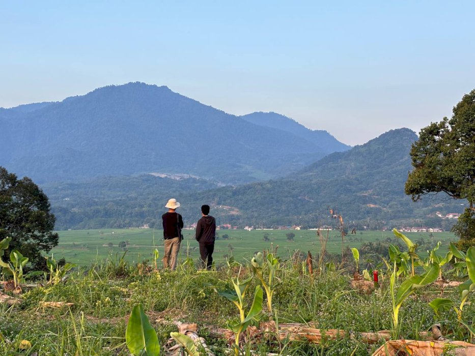 TANAH STRATEGIS 50 JUTAAN PINGGIR JALAN PROVINSI