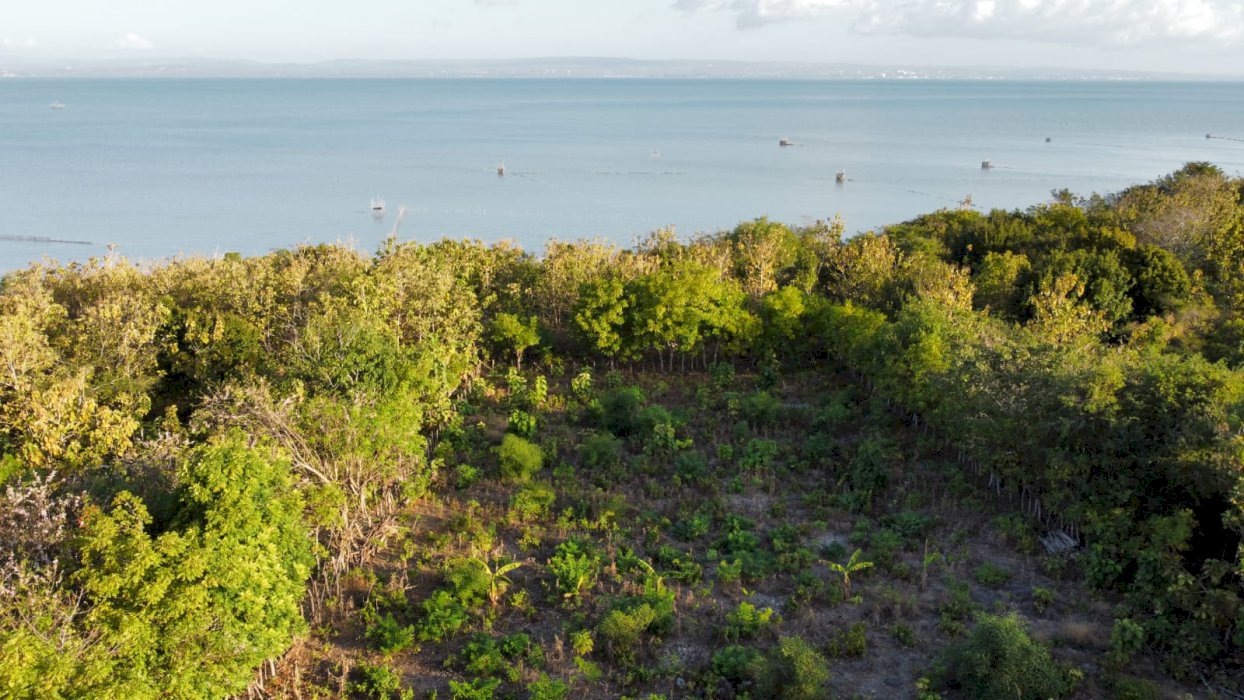 TANAH DIJUAL ( Pinggir Pantai Sulamu Kab Kupang - NTT) BANTING HARGA