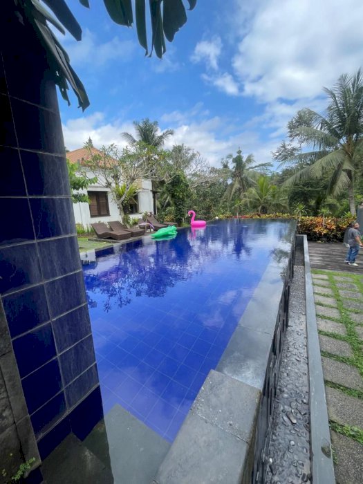 Di Jual Villa Mewah Plus Tanah Luas Di Ubud Gianyar Bali