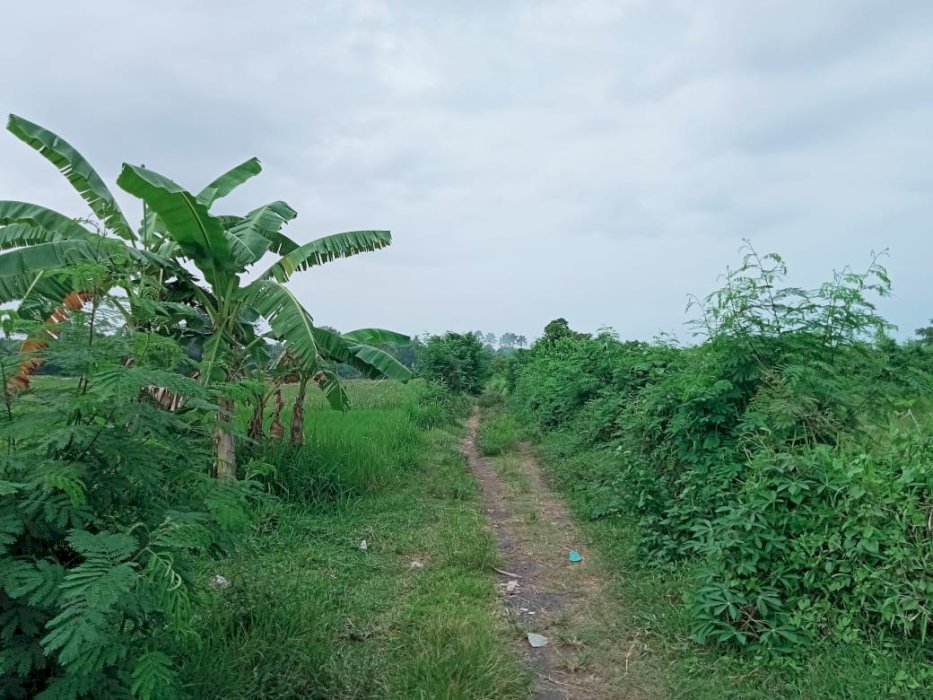 DI JUAL TANAH LANGSUNG VIEW PANTAI GIANYAR BALI