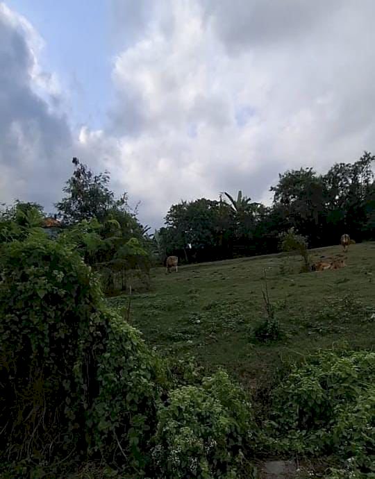 TUMBAK BAYUH LAND FOR SALE