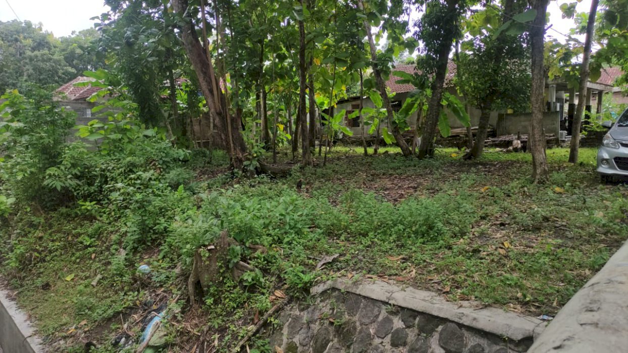 Jual tanah seluas 203m2 di dukuh gunungmojo bantul