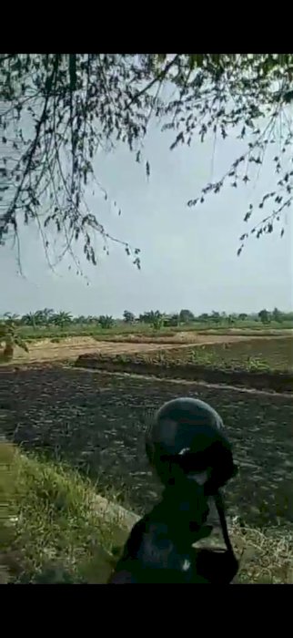 Jual tanah 10 HA nol poros