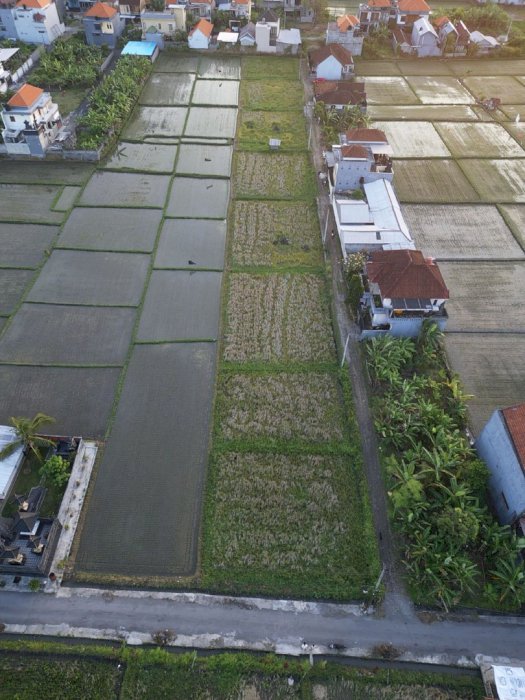 DI JUAL TANAH KAVLING TRENGGULI GATSU TIMUR DENPASAR