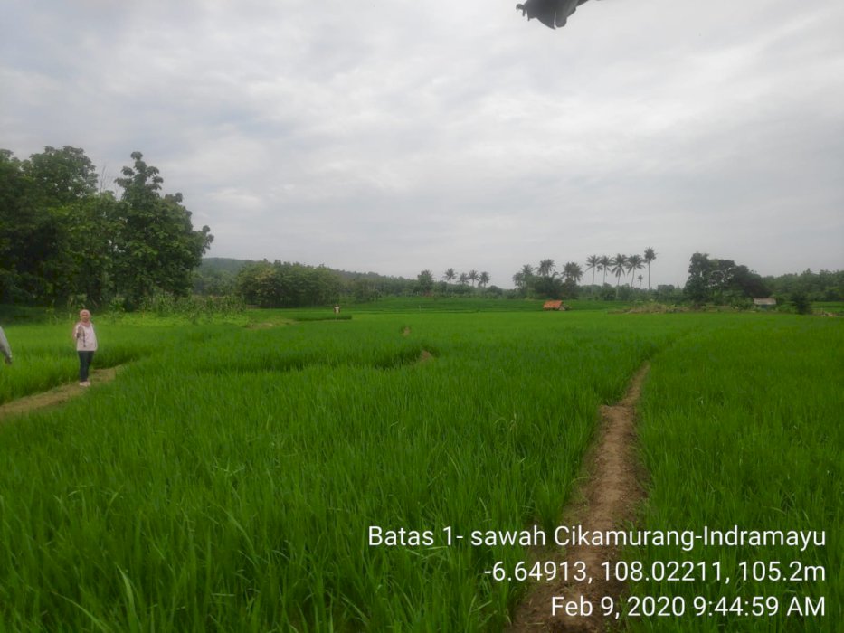 Dijual tanah + sawah