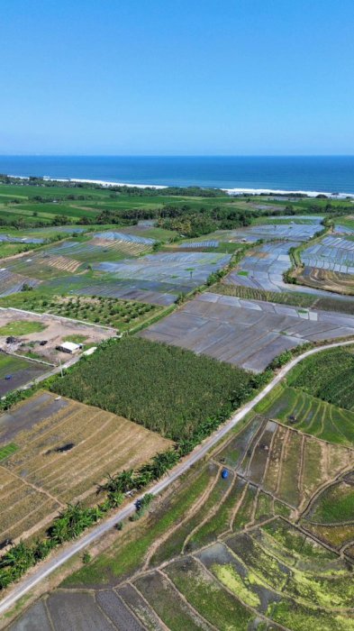 Di Jual Tanah Kavling Dekat Pantai Pasut Tabanan Bali