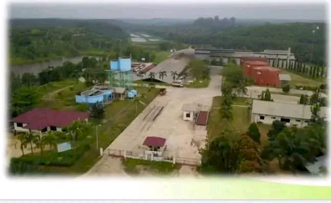 Dijual PKS dan Kebun Sawit di Pelalawan, Pekanbaru