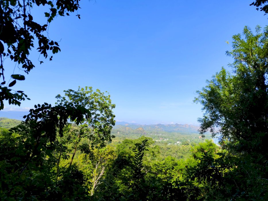 Tanah Labuan Bajo atas bukit view pantai