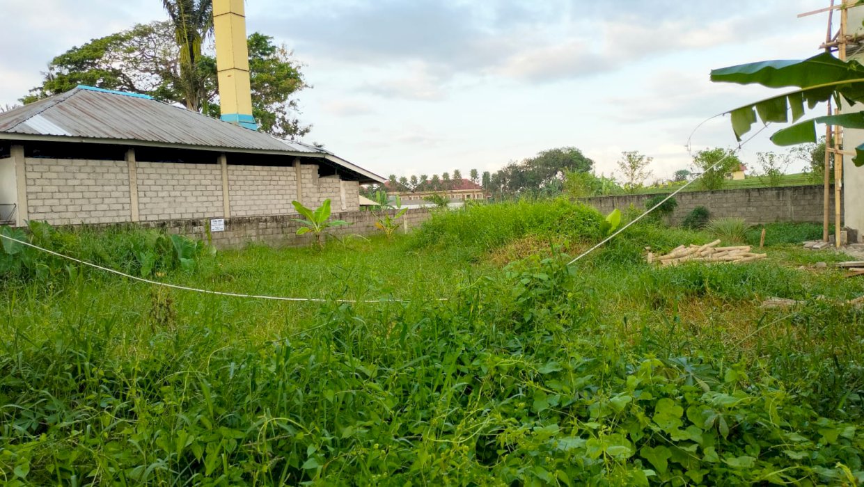 Tanah luas 155 m2 daerah Tuka Dalung. Cocok untuk villa