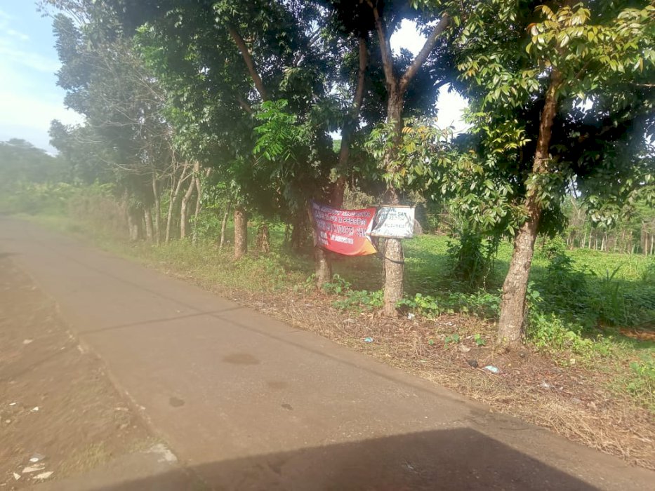 Jual tanah area industri, kedaung, subang, jabar, pinggir jalan desa