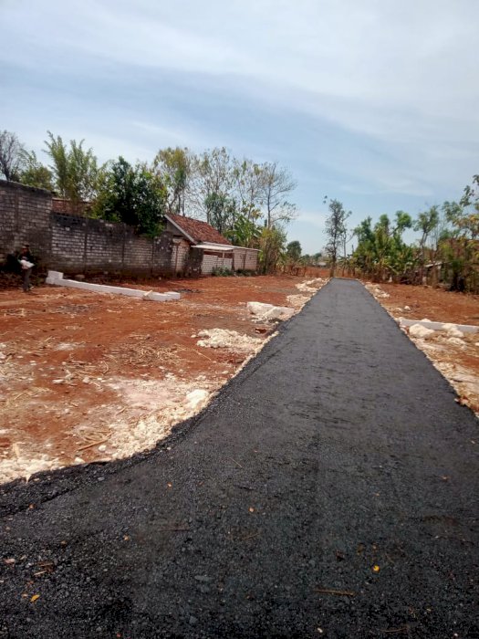 Dijual Tanah Murah Lokasi Perkotaan di Pangosari Gedongombo Tuban