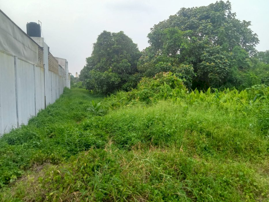 Tanah di Jual Tanah Bagus Lokasi Strategis Di Kota Pekanbaru