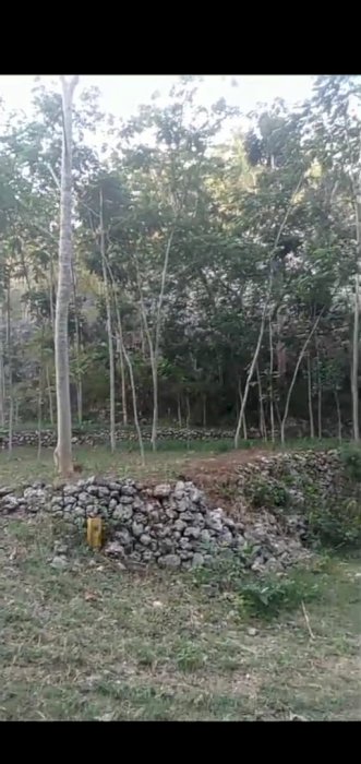 Di Jual Tanah Luas Lokasi Petir Semanu Gunung Kidul