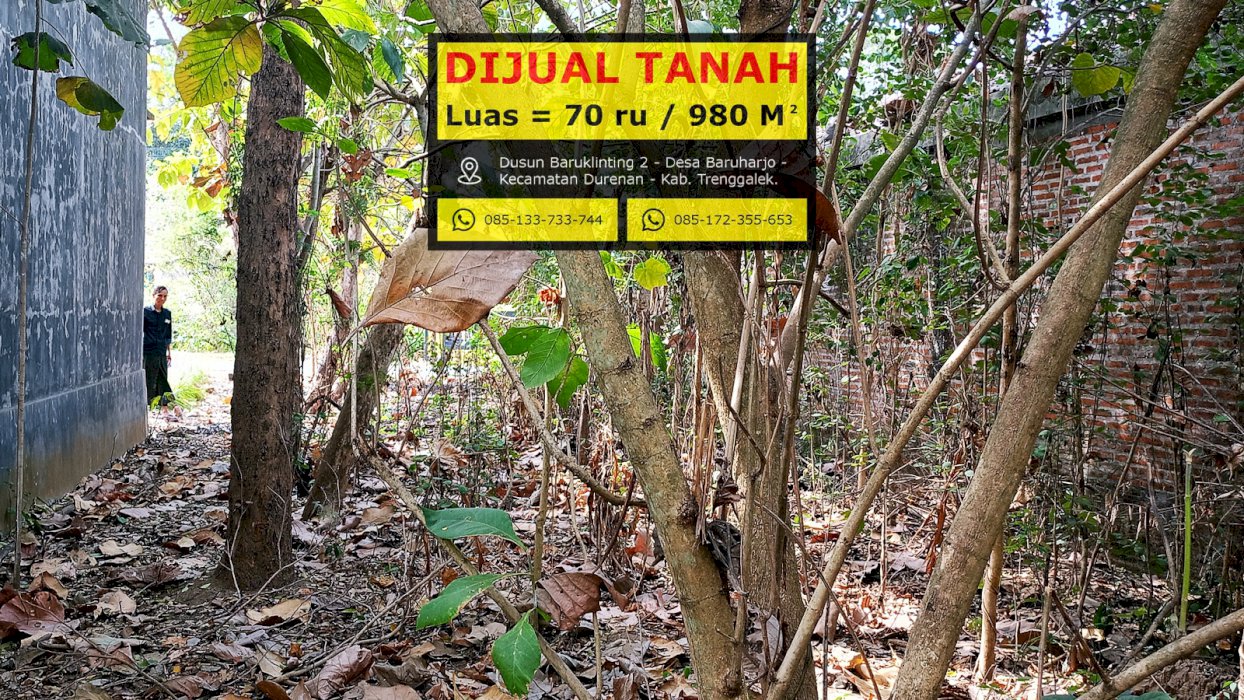 gallery cover