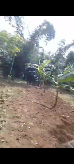 Di jual tanah di daerah jatisari, purwosari, pasuruan