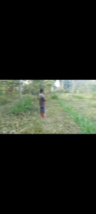 DI JUAL TANAH DI DESA JATISARI PURWOSARI