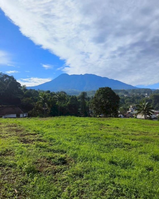 STRATEGI TANAH DI PUNCAK BOGOR - BUMI PESONA CISARUA
