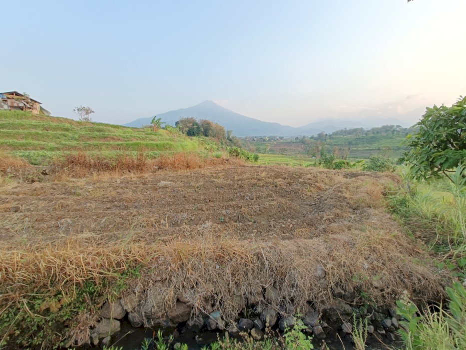 TANAH PACET LUAS VIEW OKE
