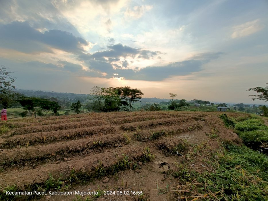 TANAH PACET DEKAT WISATA BERNAH DEVALEY