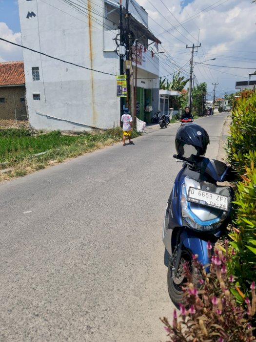 Sawah luas strategis pinggir jln utama